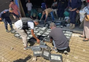 photo_2026-04-15_19-44-53